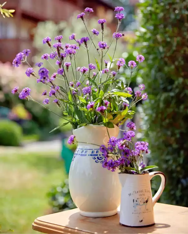 Nachhaltigkeit im Wellnesshotel Götzfried Garden & SPA