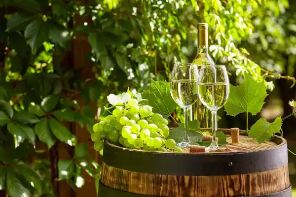 Urlaub in Regensburg